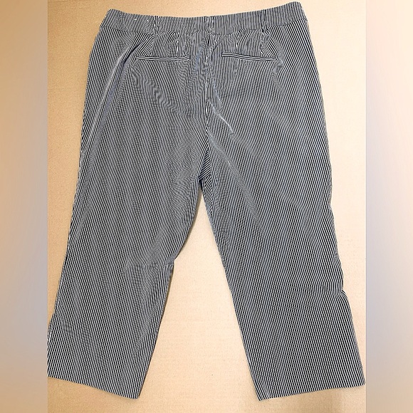 Lane Bryant The Allie Striped Pants - Picture 2 of 7